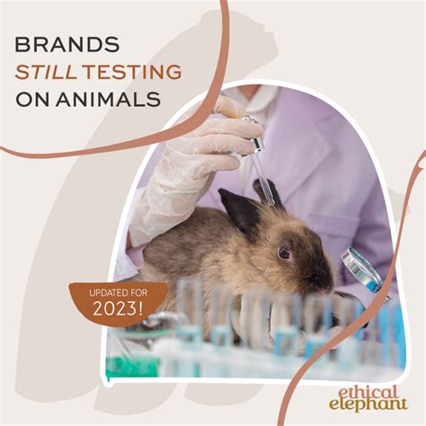 does chanel makeup tested on animals|is chanel animal friendly.